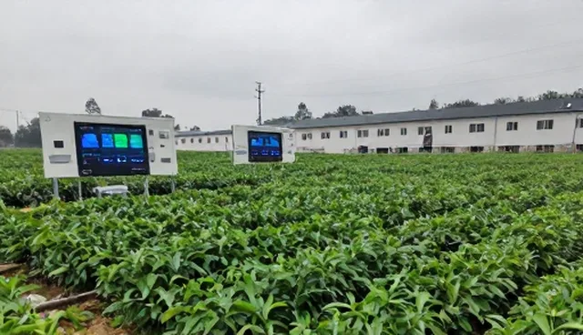 全流程跟进：技术开发中选型关注点的取舍分析